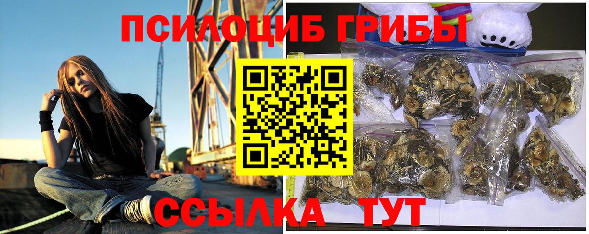Галлюциногенные грибы Cubensis Ирбит